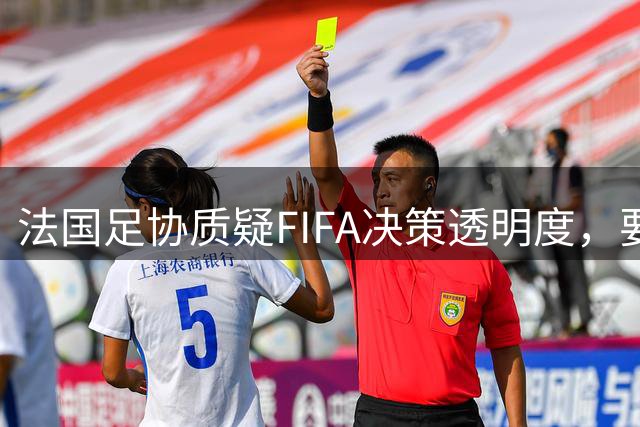 法国足协质疑FIFA决策透明度，要求与欧足联紧急磋商